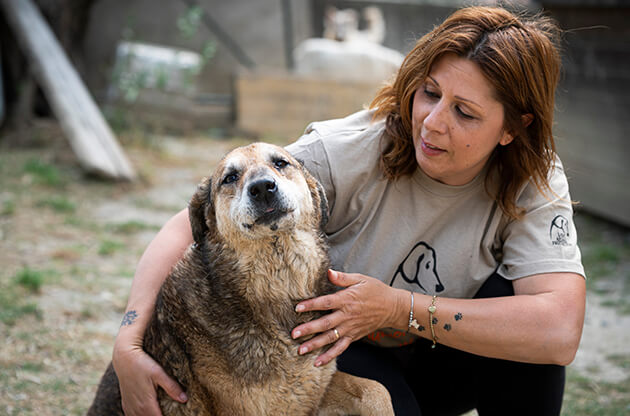 Aiutaci ad accogliere gli animali vittime di abbandono